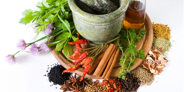 Herbs and spices that help in the treatment of diabetes